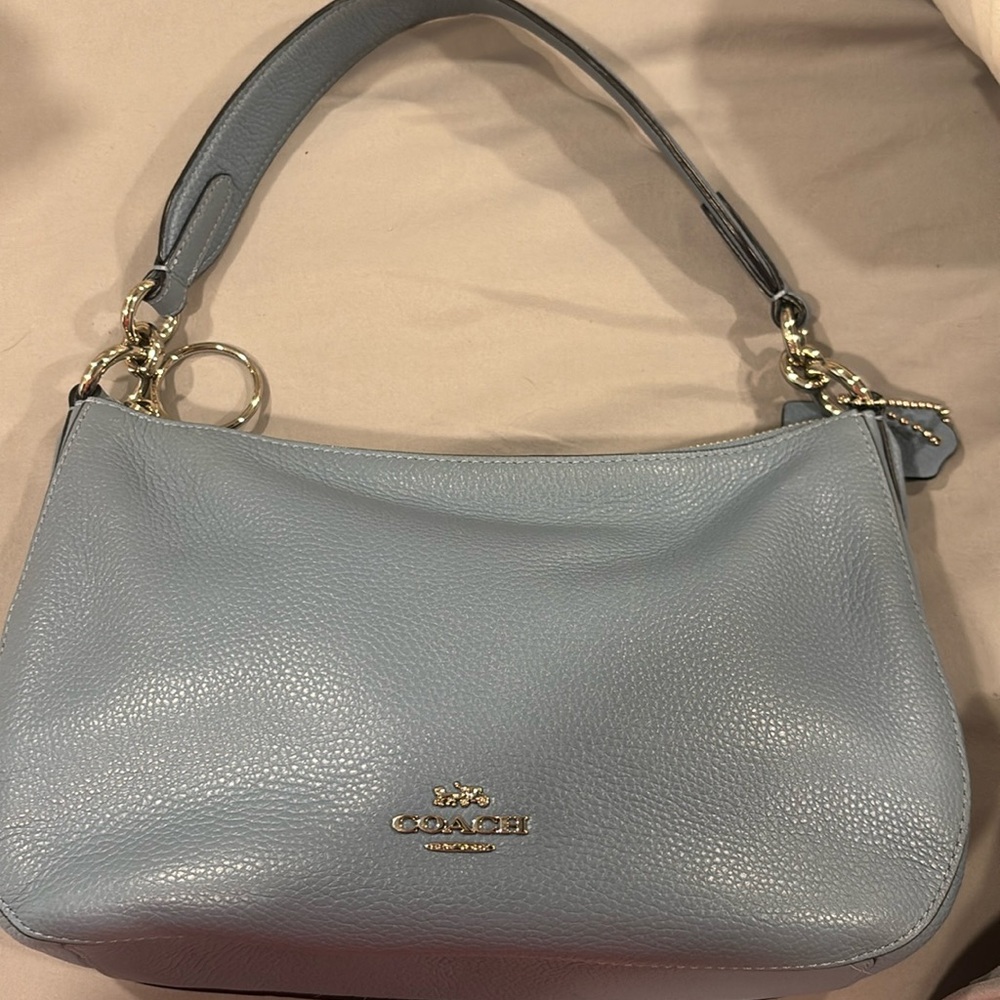 Blue Coach Purse
